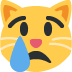 :crying_cat_face: :crying_cat_face: